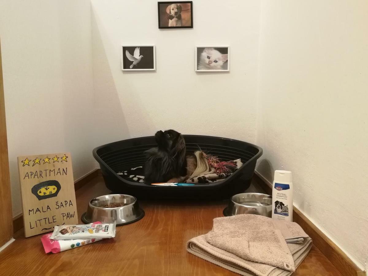 Apartment Satori コレニツァ エクステリア 写真