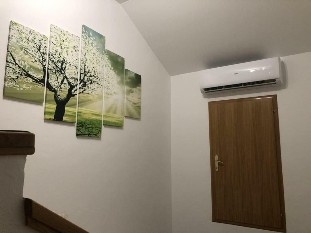 Apartment Satori コレニツァ エクステリア 写真